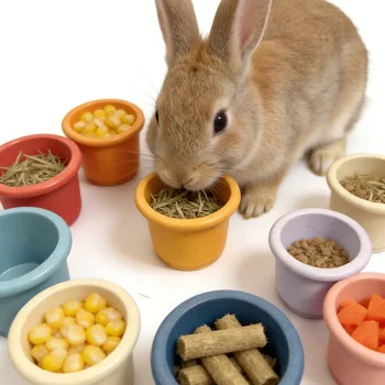 Rabbit Engagement Feeding Cups 1