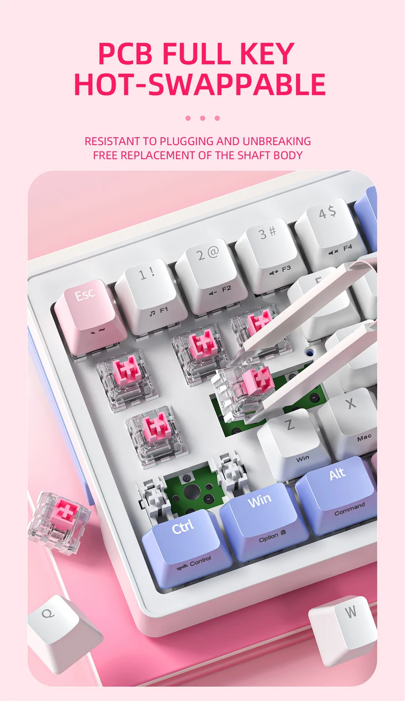 プフィッツナー
交響曲ハ長調Op.46
CD6点セット Transmission Reverse Plunger 5 Speed OEM 240Z 260Z 280Z 280ZX | Z