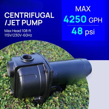 1.5 HP Centrifugal/Jet Pump for Lawn Irrigation, 4250 GPH, Cast Iron, 115/230V 1