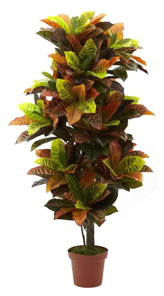 

Real Croton Artificial Plant, Orange