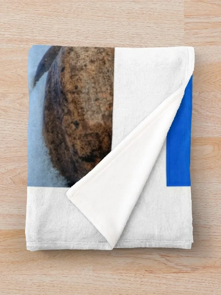 ĳ�� �Ͻ� ������ ���, ���Ÿ� ���,  ���� ���