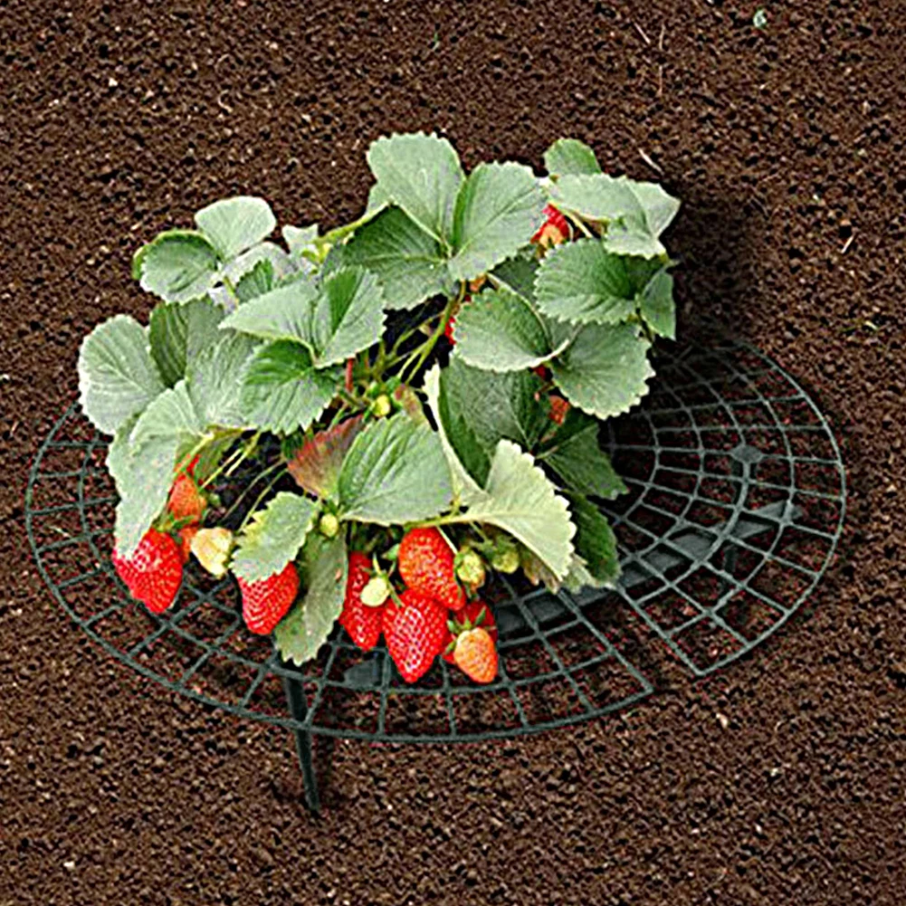 Strawberry Supports with 4 Sturdy Legs Vegetable Growing Rack Keep Berries Clean Balcony Planting Rack Garden Tools