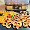 BioloMix BPA FREE 5 Trays Food Dryer Dehydrator with Digital Timer and Temperature Control for Fruit Vegetable Meat Beef Jerky 6
