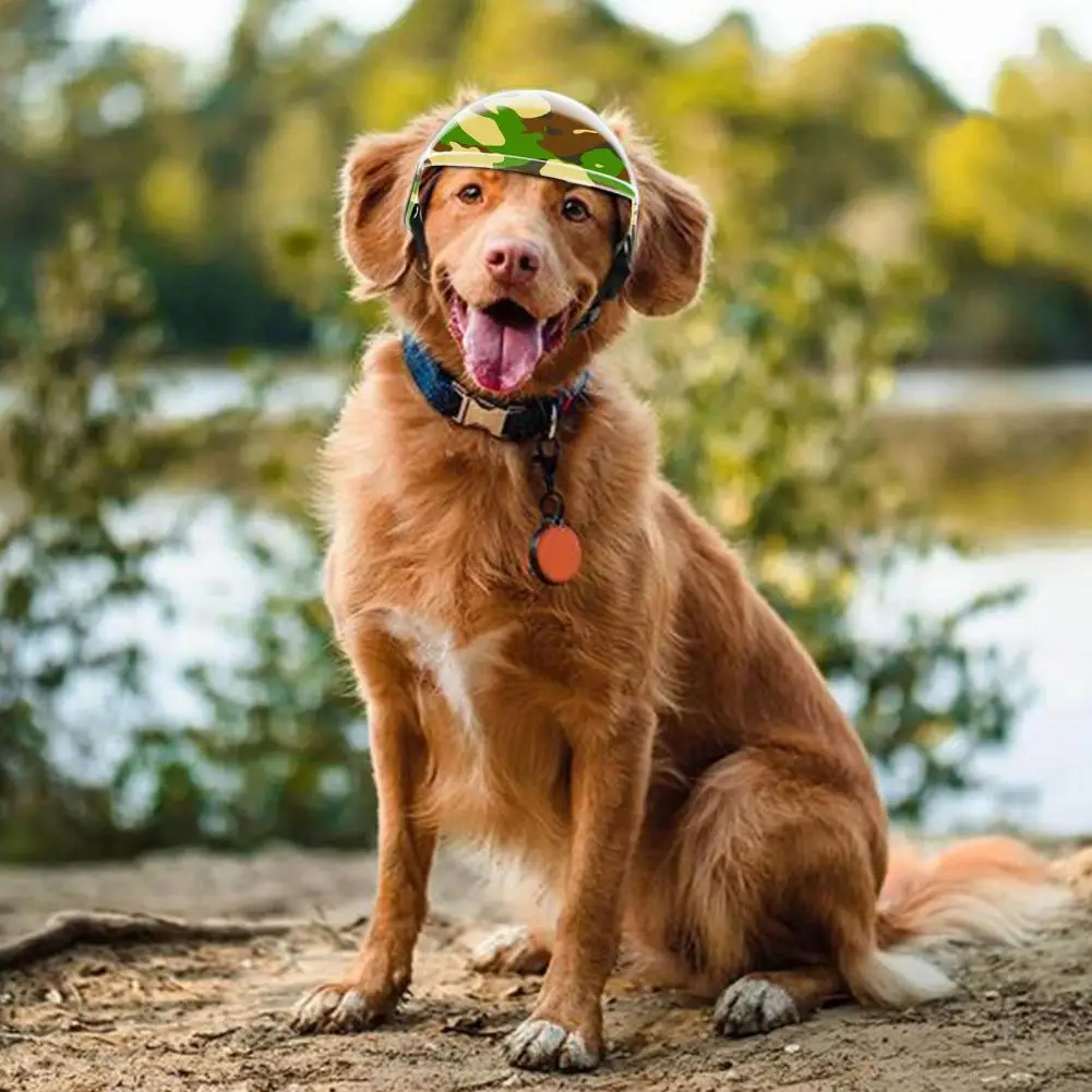 

Comfortable Pet Head Protection Protective Pet Headgear Tactical Sport Dog Motorcycle Helmet with for Anti-impact for Outdoor