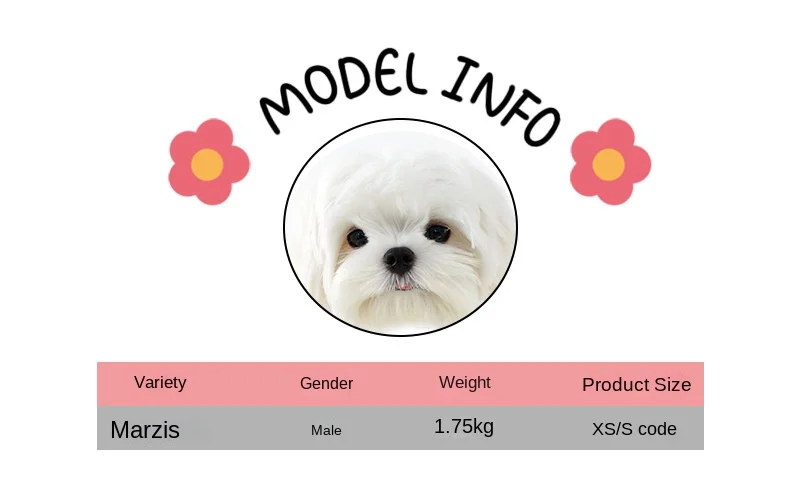 modelINFO(uu)