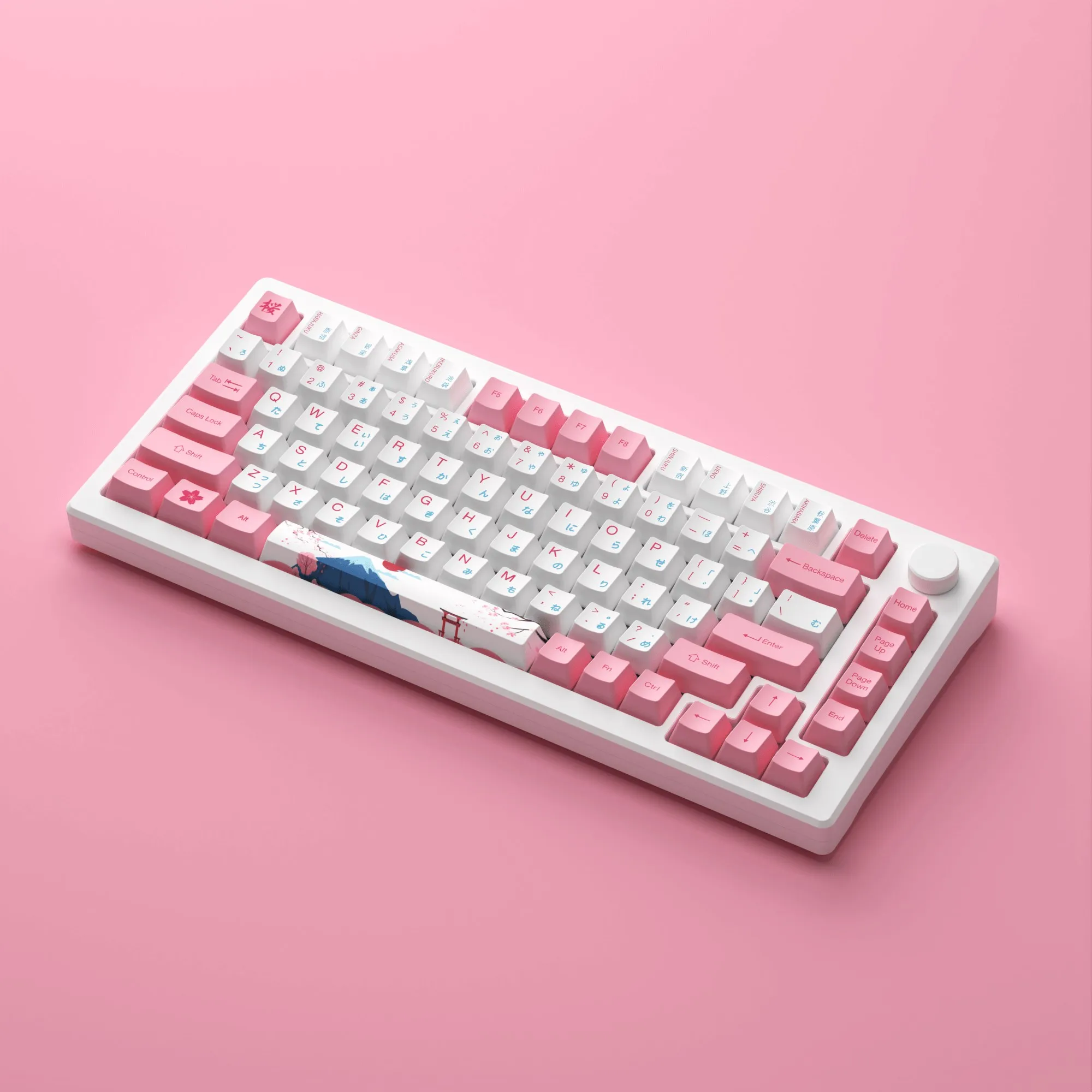 Akko-メカニカルゲーミングキーボードmod007b pc tokyo r2,マルチ