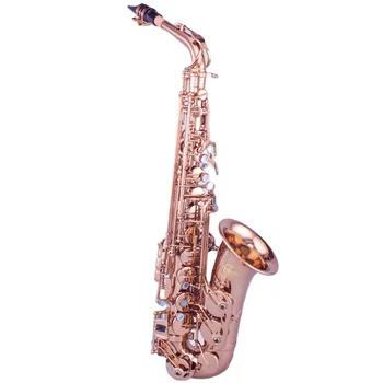champagne Gold Finish Alto Saxophone Wholesale for Instrument Store and Concert Brass Body Eb Tone