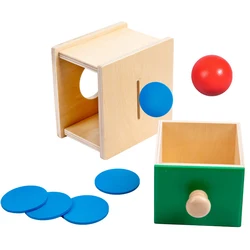 Interactive Montessori Wooden Puzzle & Coin Ball Game Set for Kids - Hand-Eye Coordination and Grasping Skills Development (2 in 1 Coin Ball Box)