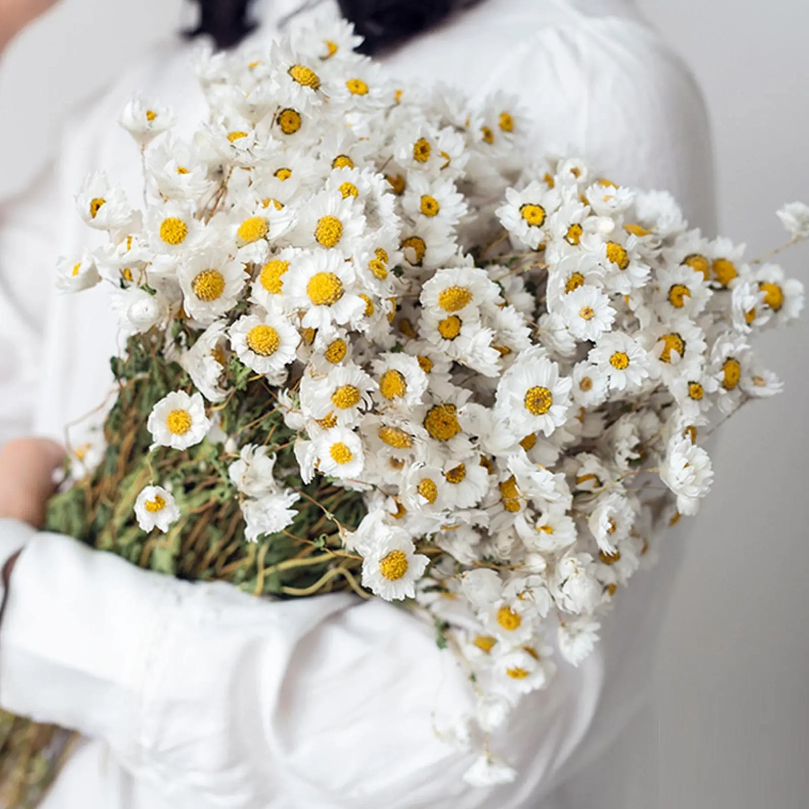 Dried Daisy Flowers Bouquet,Natural Dry White Flowers, Artificial  Sunflowers,Daisies Arrangements for Farmhouse Vase Party Decor