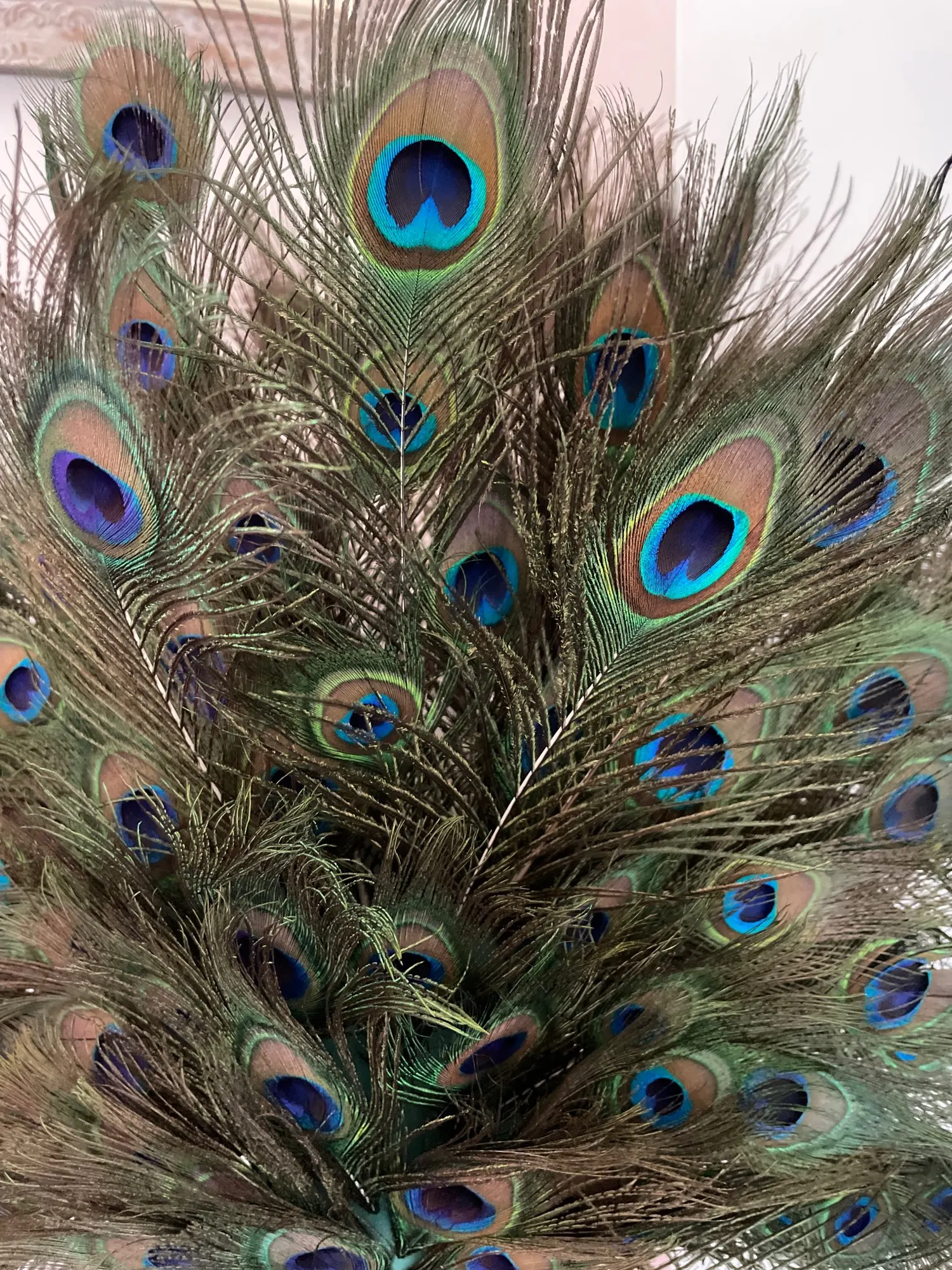 Wholesale Natural Peacock Real Peacock Feathers With Big Eyes Ideal For  Wedding, Party, Home Decor And DIY Crafts 70 80cm From Present2008, $70.15