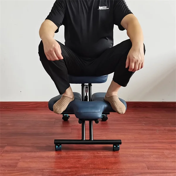 Ruote Sedute Ergonomiche Sedia Ergonomica Ruote Per Sedia Job