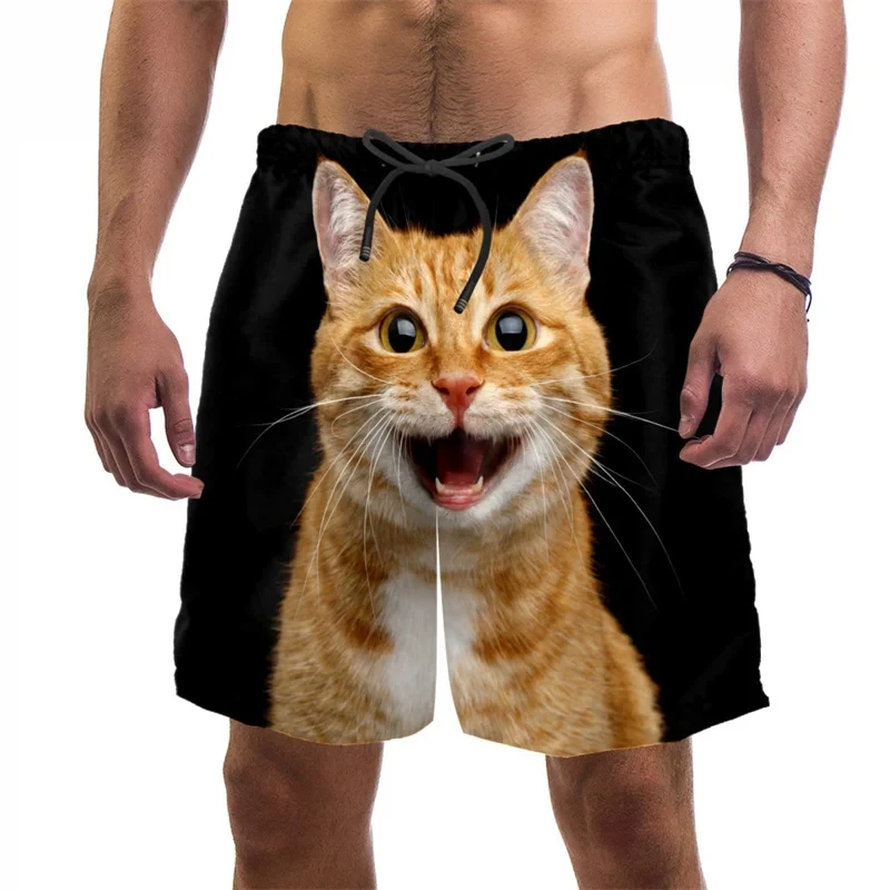 3d Print Funny Cat Beach Shorts For Men Quick Dry Swim Trunks Summer Drawstring Cool Vacation Surf Board Shorts Men Clothing 2
