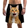 3d Print Funny Cat Beach Shorts For Men Quick Dry Swim Trunks Summer Drawstring Cool Vacation Surf Board Shorts Men Clothing 2