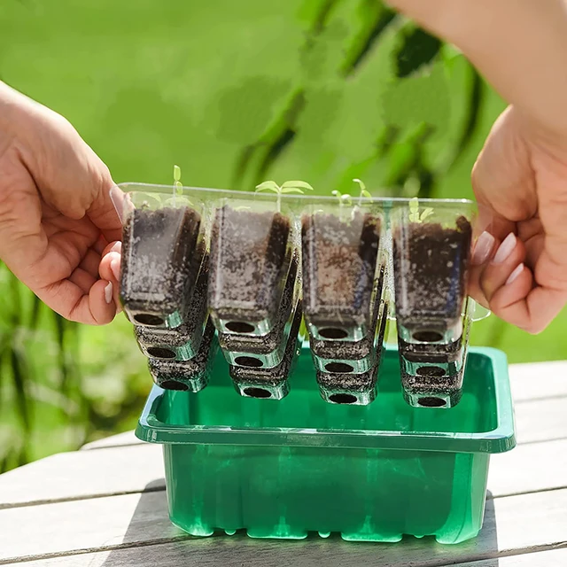 Boîte de plateau de pépinière à couvercle supérieur de 6/12 cellules, avec lumière de croissance, Pot de plantation de Germination de semis, Promotion de croissance LED à spectre complet 4
