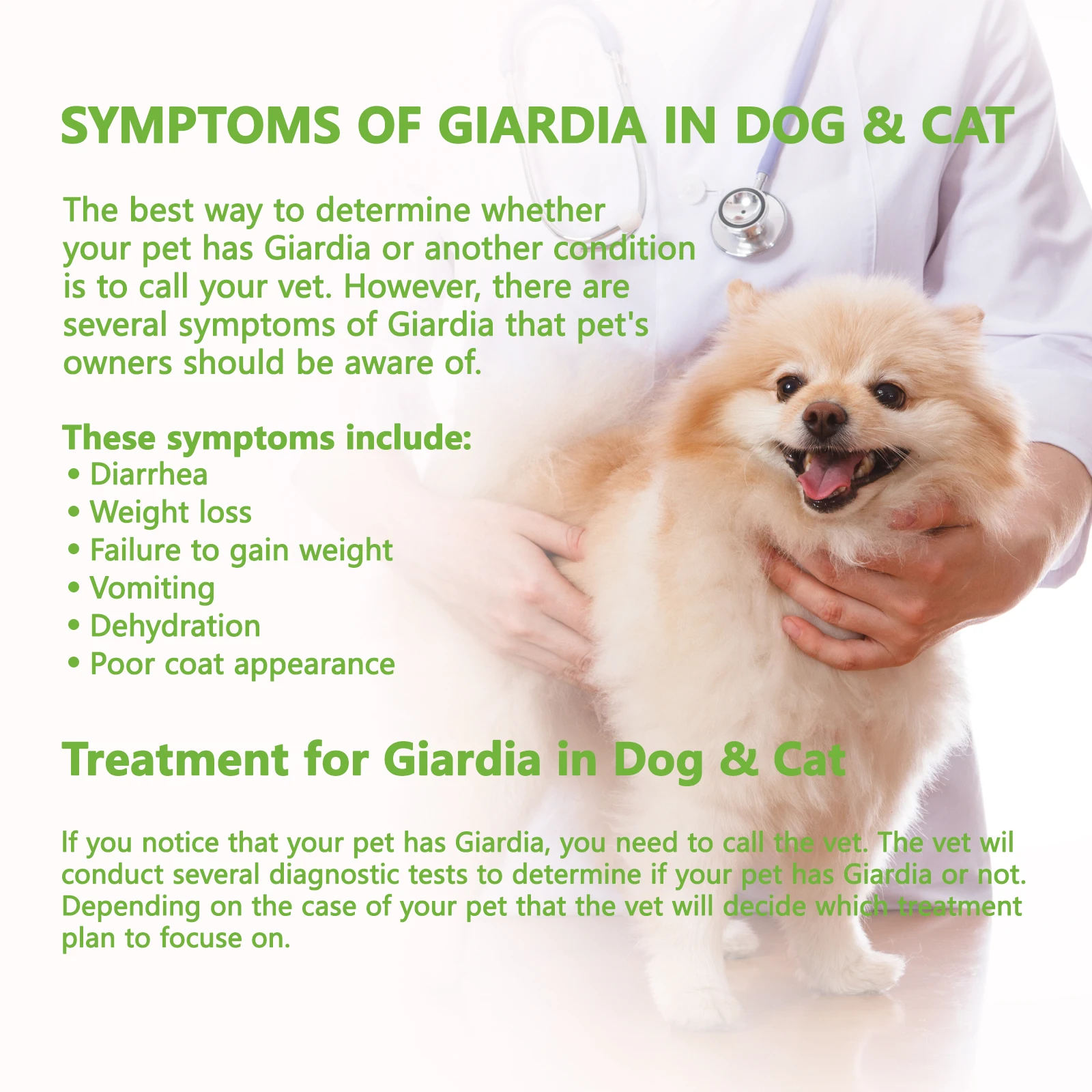 50Pcs GIA-Canine & Feline GIARDIA Rapid Detection Home Health Test Kit for Dogs & Cats