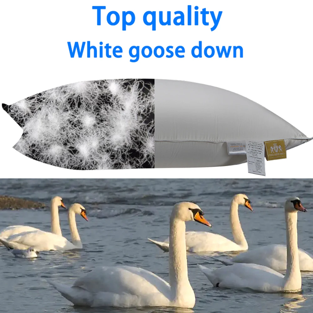 Slide image f72944c838364b3a92a87daecbd031c3