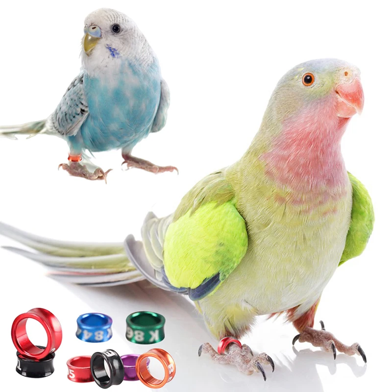 

10pcs High Quality Aluminum Parrots Foot Ring Random Colors Pigeons Foot Ring Identification Label Bird Training Tool