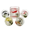 1:12 Miniature Model Mini Fish Tank Bowl Simulation Aquarium Scene Model For Home Desktop Ornament Dollhouse Toys Decoration 2