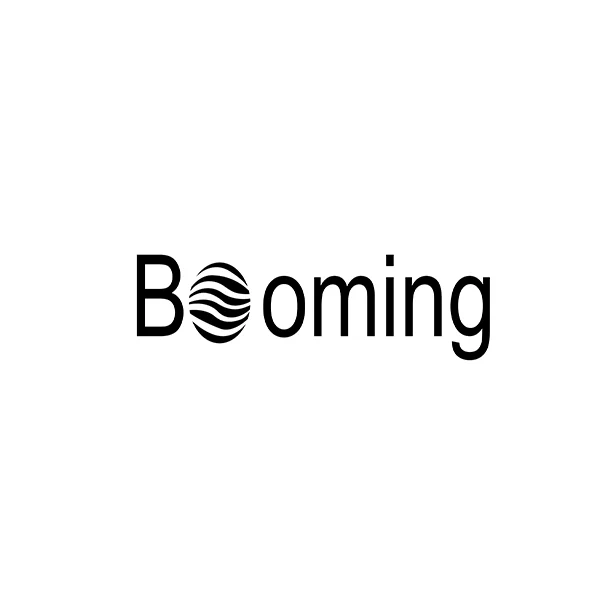 Boomingqh Life Store