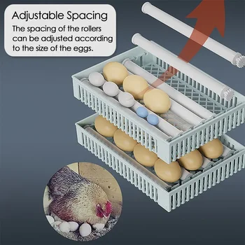 24 Eggs Incubator Fully Automatic Turning Hatching Brooder Farm Bird Quail Chicken Poultry Farm Hatcher Turner Incubation Tool 4