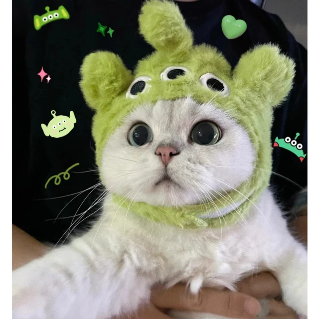 Cat Cute Cartoon Decorative Funny Cat Headwear Cat Dog Hat Headgear Pet  Cute Funny Artifact Warm Plush Pet Hat Pet Photo Props