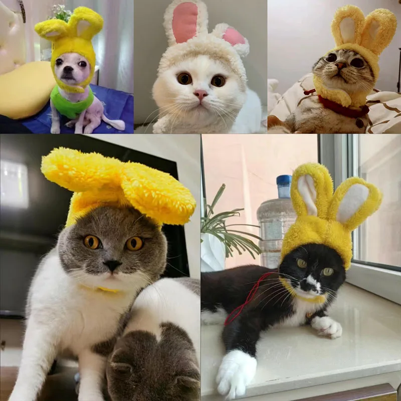 Cat Headgear Cute Pet Dog Cat Caps Rabbit Ears Hats For Cats Kids Bunny  Cosplay Props Bunny Ears Pet Headdress Cat Accessories - AliExpress