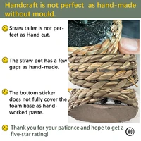 XIYA FLOWER Green Artificial Plants Eucalyptus Grass Woven Small Potted Plants Grass Mound 11cm PE Material Home Decoration 5