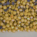 Starlight Lemon