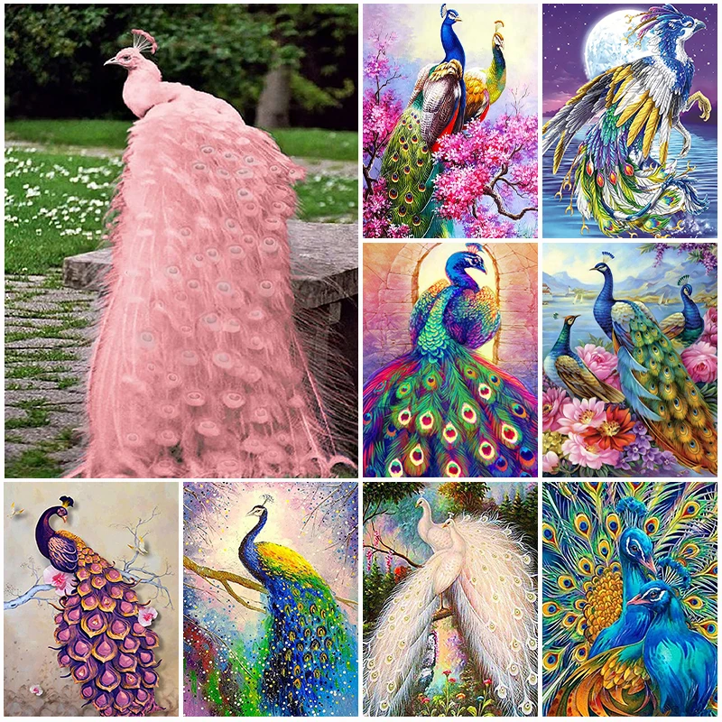 5D DIY Animal Diamond Painting Peacock Parrot Animal Full Round Diamond  Embroidery Mosaic Cross Stitch Kit Home Decor Gifts - AliExpress