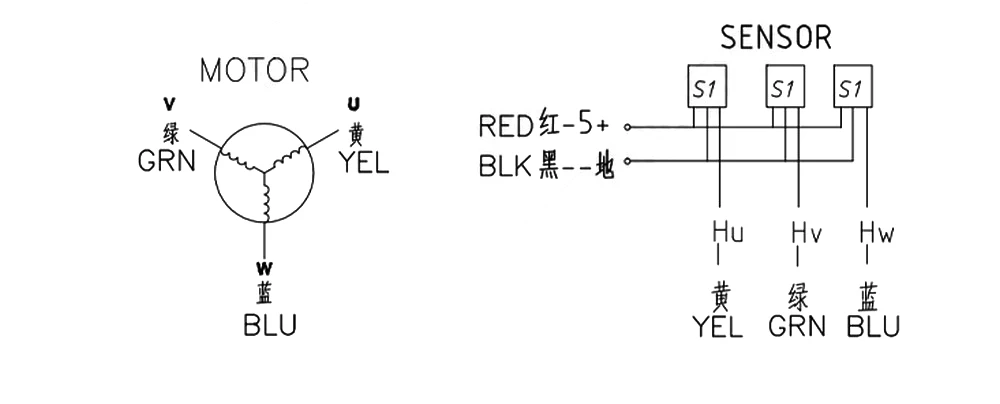 Motore Senza Spazzolle GmbH | 24V | 12A | 3000RPM | Per Applicazioni Industriali E DIY
