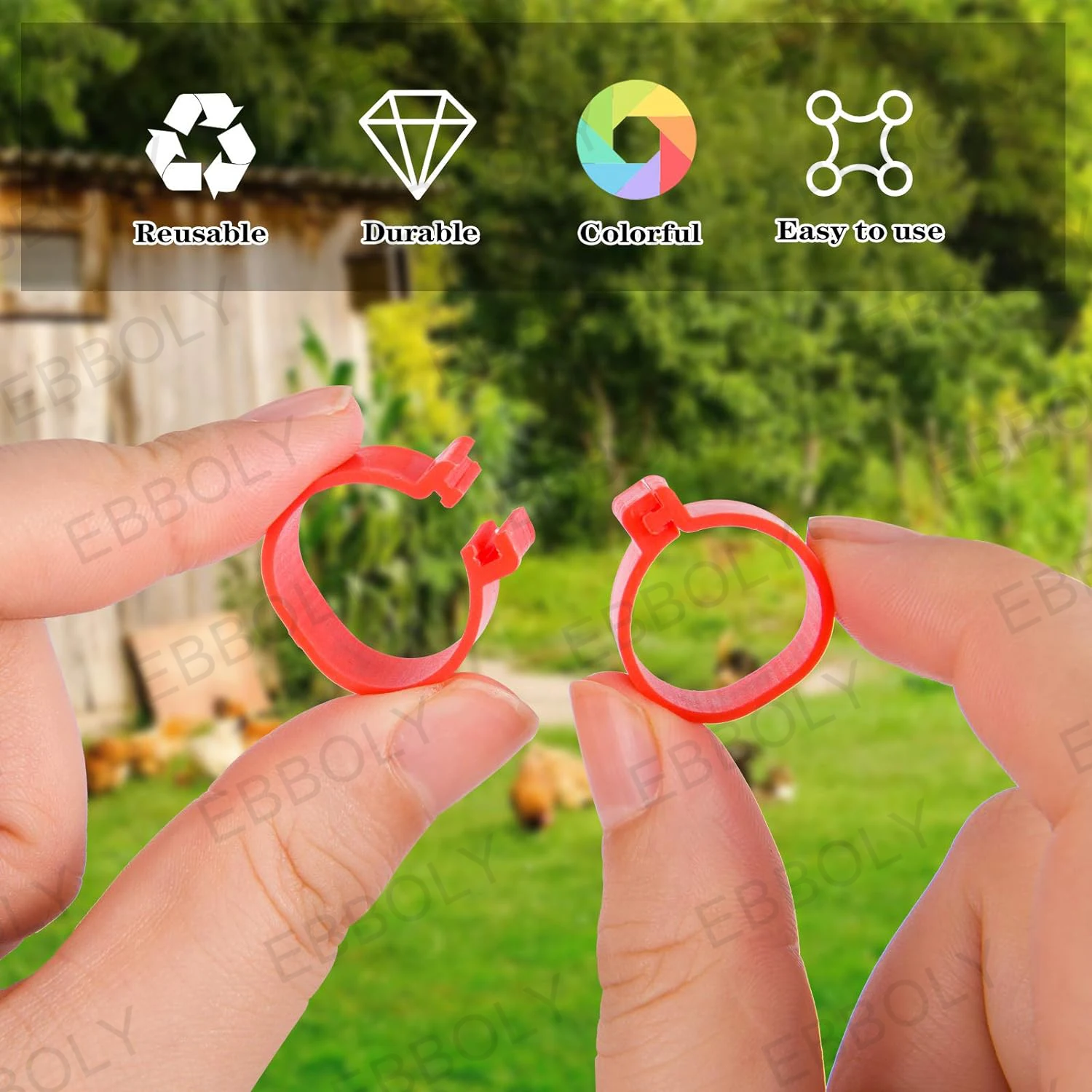 Bird Foot Rings Birds Foot Rings Chicken Foot Ring Turkeys Quail Foot Ring Easy Install & Remove Manually Poultry Carry 100 Pcs 0.8/1.6cm 001~100