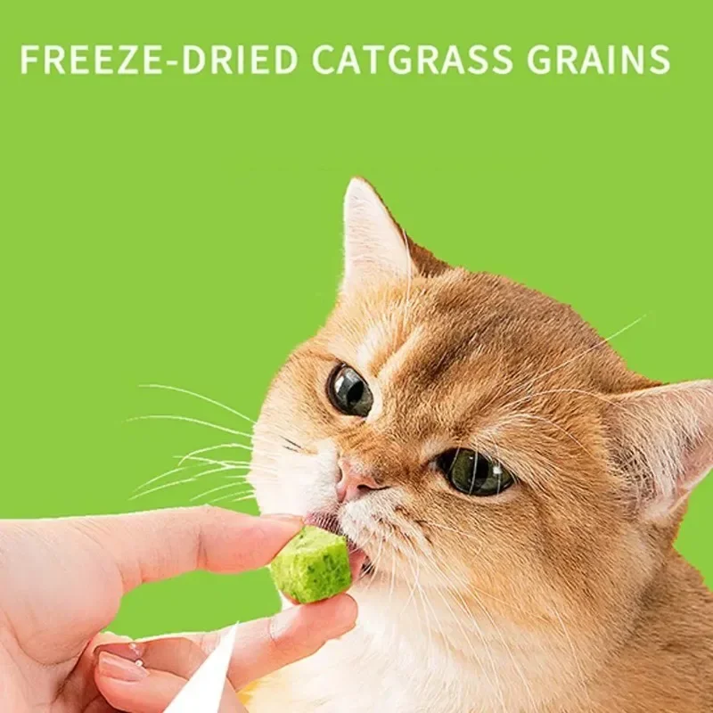 50g Catgrass Grain Row Furry Hairball Pieces Freezedried Cat Snack Teeth Grinding Stick Catgrass Biscuits Cat Grinding Teeth 3