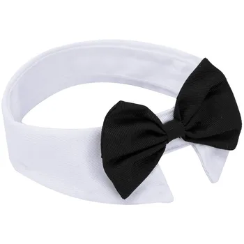 Small Adjustable Pet Bowtie Collar 1