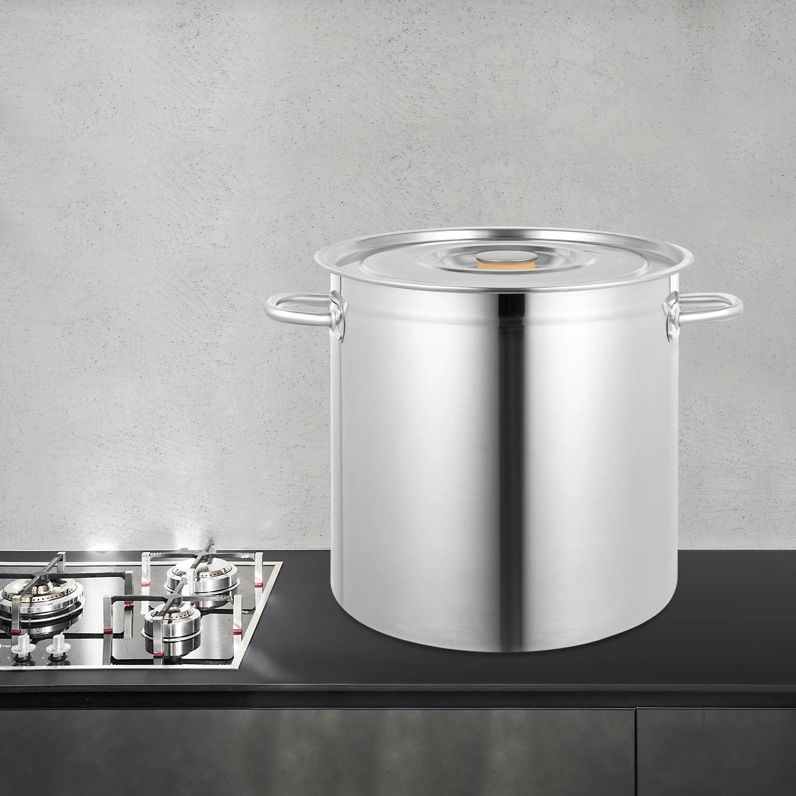 Stainless Steel Stockpot