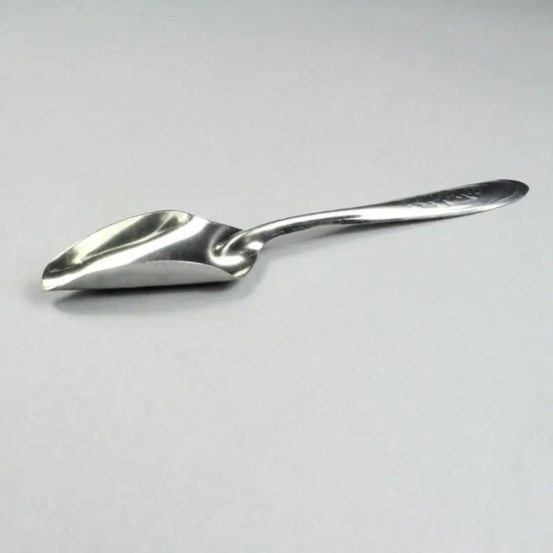 Bird Feeder Spoons 10Pcs Medicine Spoons Hand Feeding Spoon For Peony Metal Bird Milk Spoons Hand Feeding Spoon For Budgies 5