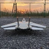 Xfly F-14 Tomcat Fighter Remote Control Aircraft Variable Sweep Wing Jet Dual 40mm Channel Fan Electric Model Fixed Wing Gift 2