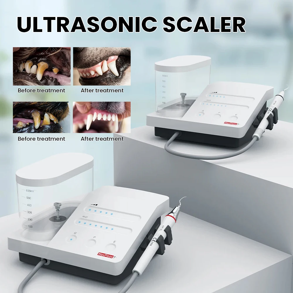 Veterinary Dental Ultrasonic Scaler veterinary Dentistry Machine Equiment