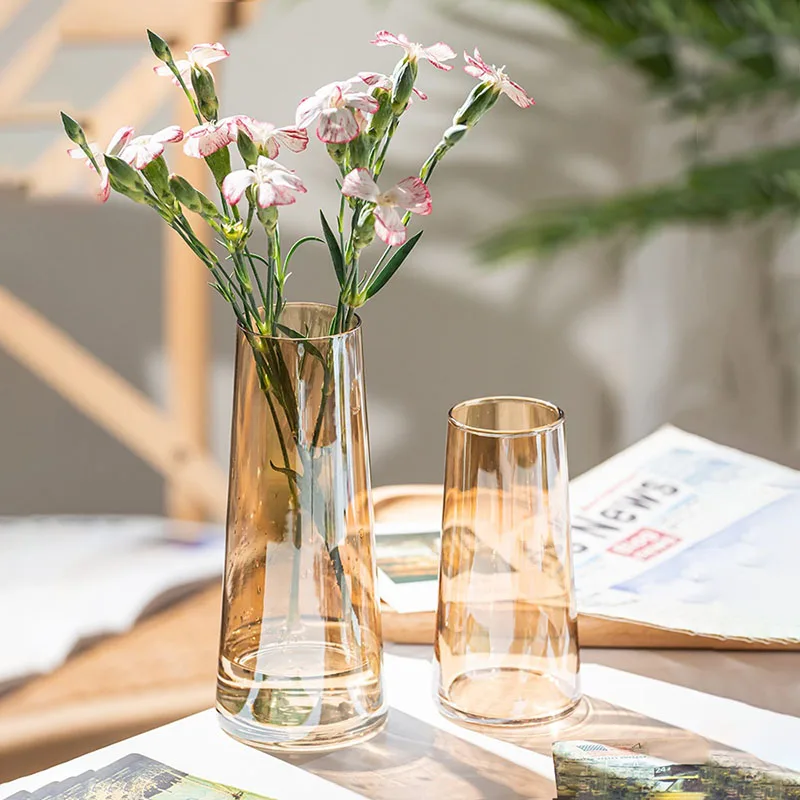 

Plant Hydroponies Transparent Glass Vase Interior Small Vase Party Desk Decor Decoracion Habitacion Home Design Exsuryse