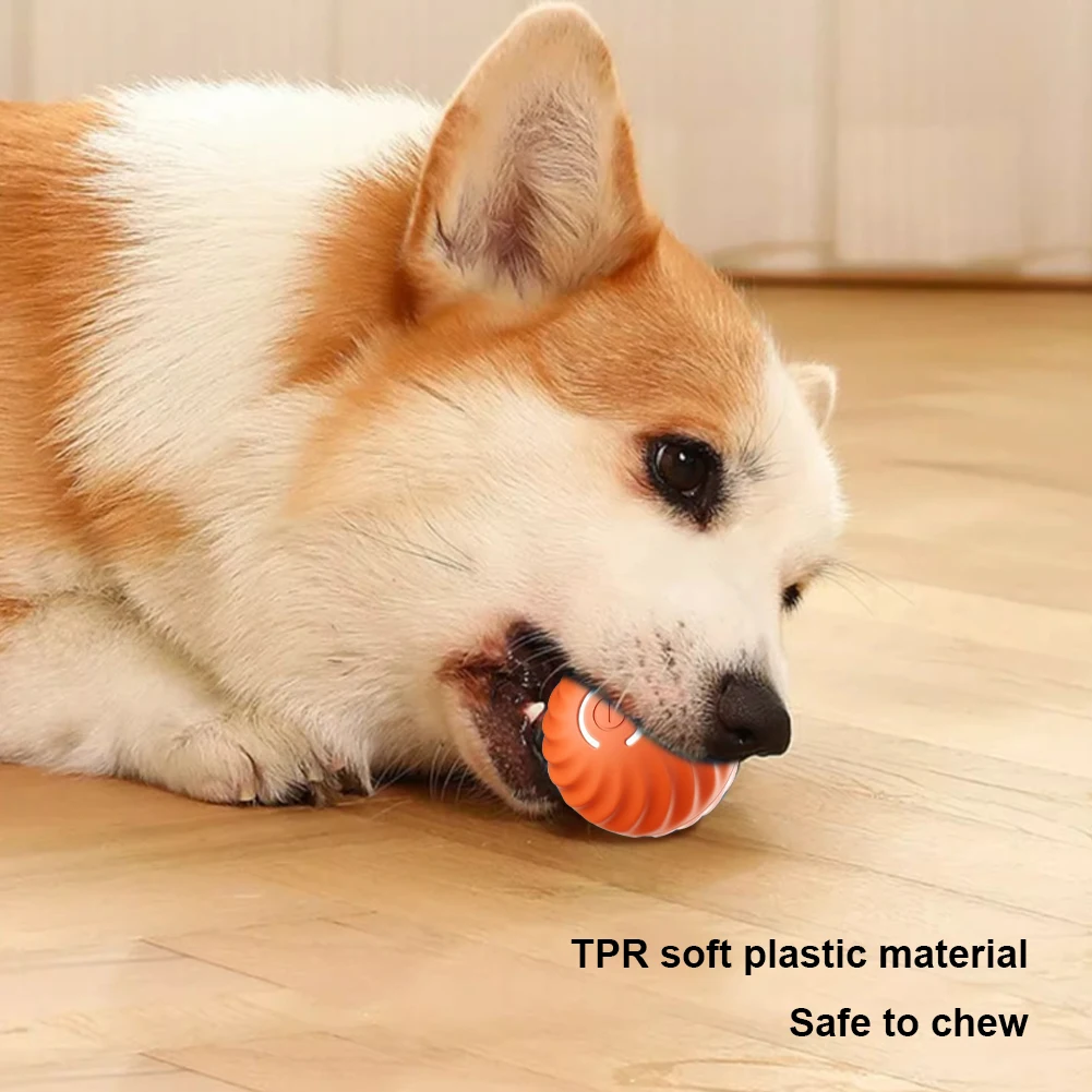 Interactive Pet Ball Toy Interactive 5