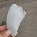White sheep horns