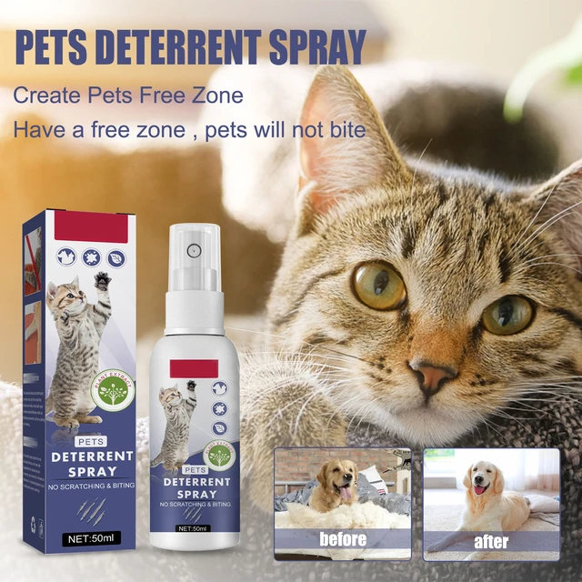 Spray per gatti deterrente proteggi Spray per mobili per antigraffio e  mordente ingredienti sicuri per piante a base di erbe tenere l'animale  domestico fuori SP99 - AliExpress