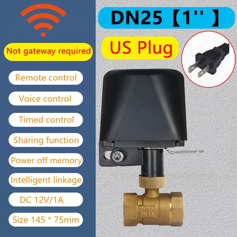 WiFi DN25 US Plug