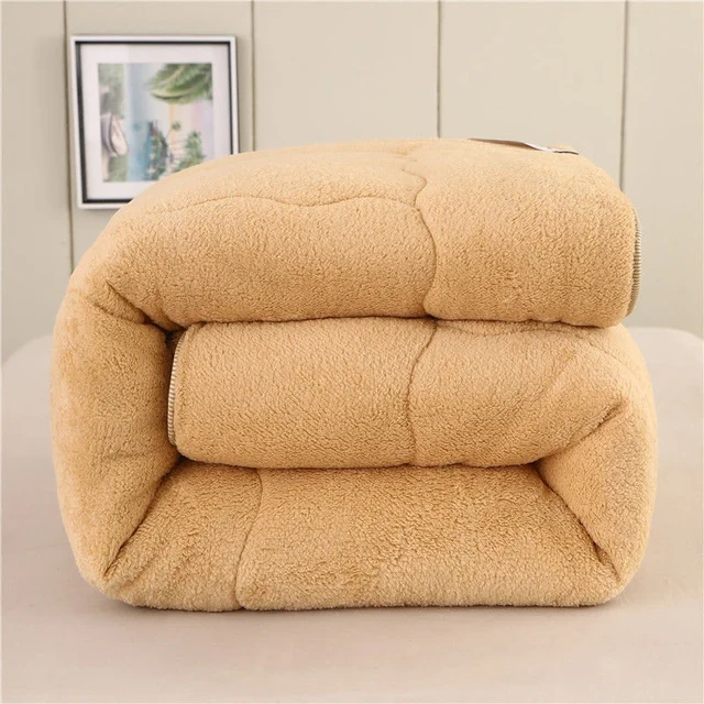 Super Warm Lamb Quilt Winter Blanket 5kg Double-sided Velvet Quilt  Thickened Warm Autumn Spring Plush Comforter Core - Quilt - AliExpress