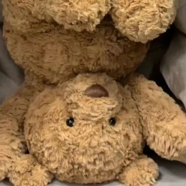 Naughty Bear Store