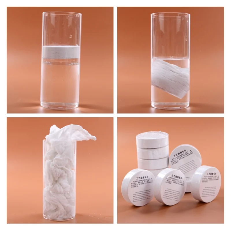 Compressed Towel 2