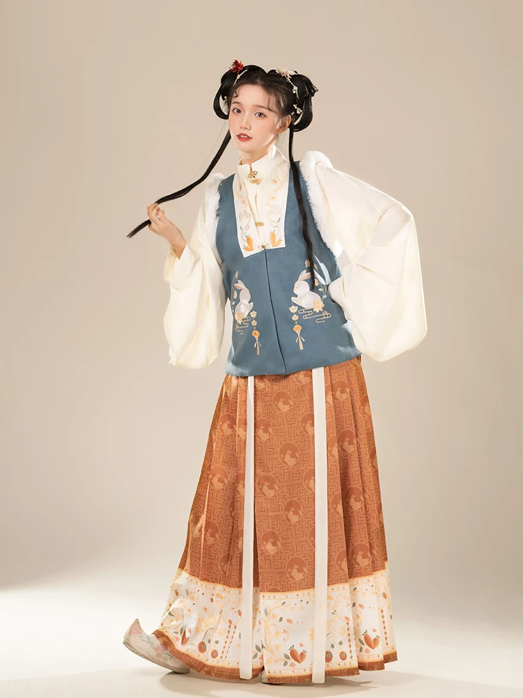 Hanfu Ming Dynasty Printed Horse Face Skirt Standing Collar New Year's Eve Autumn and Winter