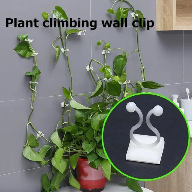 10Db/Beállított Növényi Mászó Tartó Láthatatlan Szőlőmászó Fal Rögzítő Horoggomb Tervez - Image 2