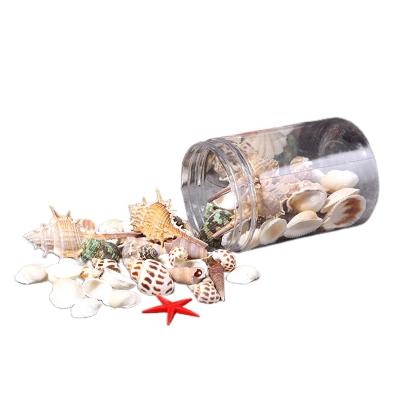 Aquarium Ornaments DIY Fish for Tank Decorations Mixed Seashells Sea Snail Coral Various Sizes up to 2.4" 55KF