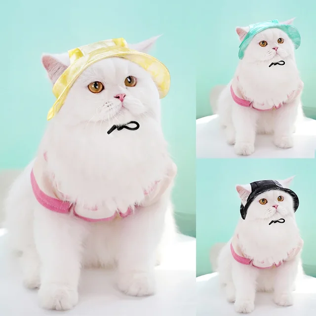 애완동물을 위한 세련되고 실용적인 여름용 모자