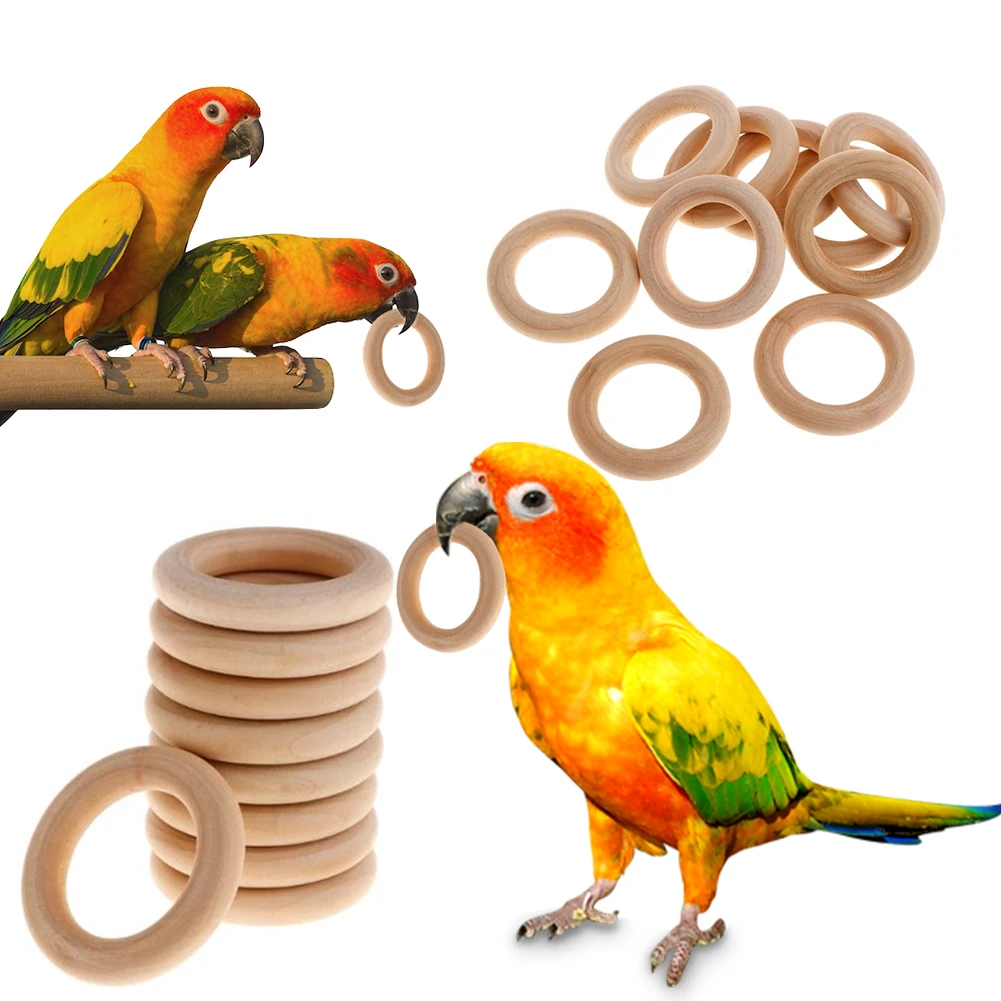 10Pcs Pet Bird Parrot Intelligence Toys Natural Wooden Ring Parrot Training Toy Chew Bite Toys For Budgies Parakeet Growth Toy 2
